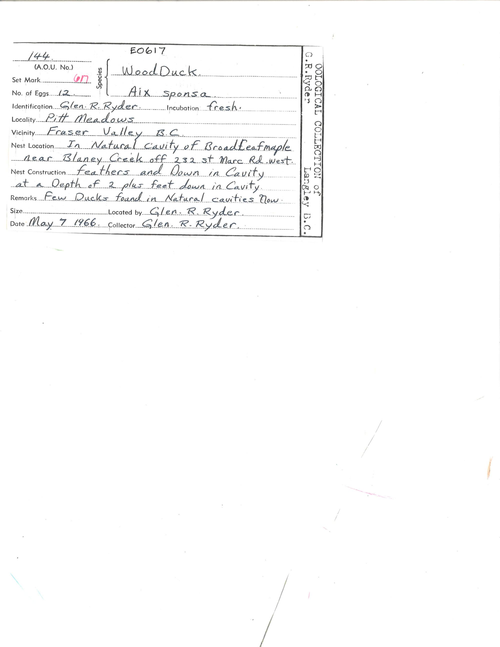 Image representing Aix sponsa.