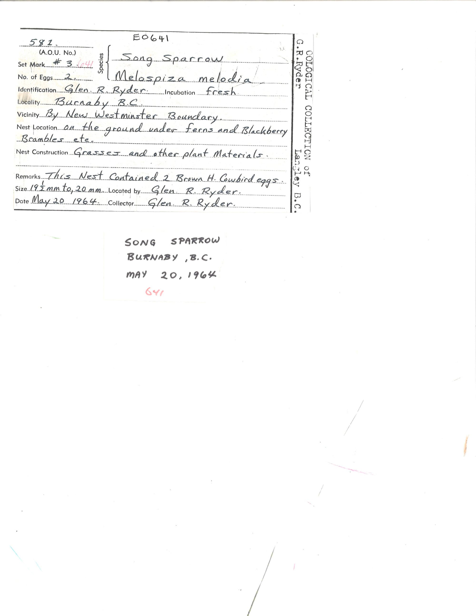 Image representing Melospiza melodia.