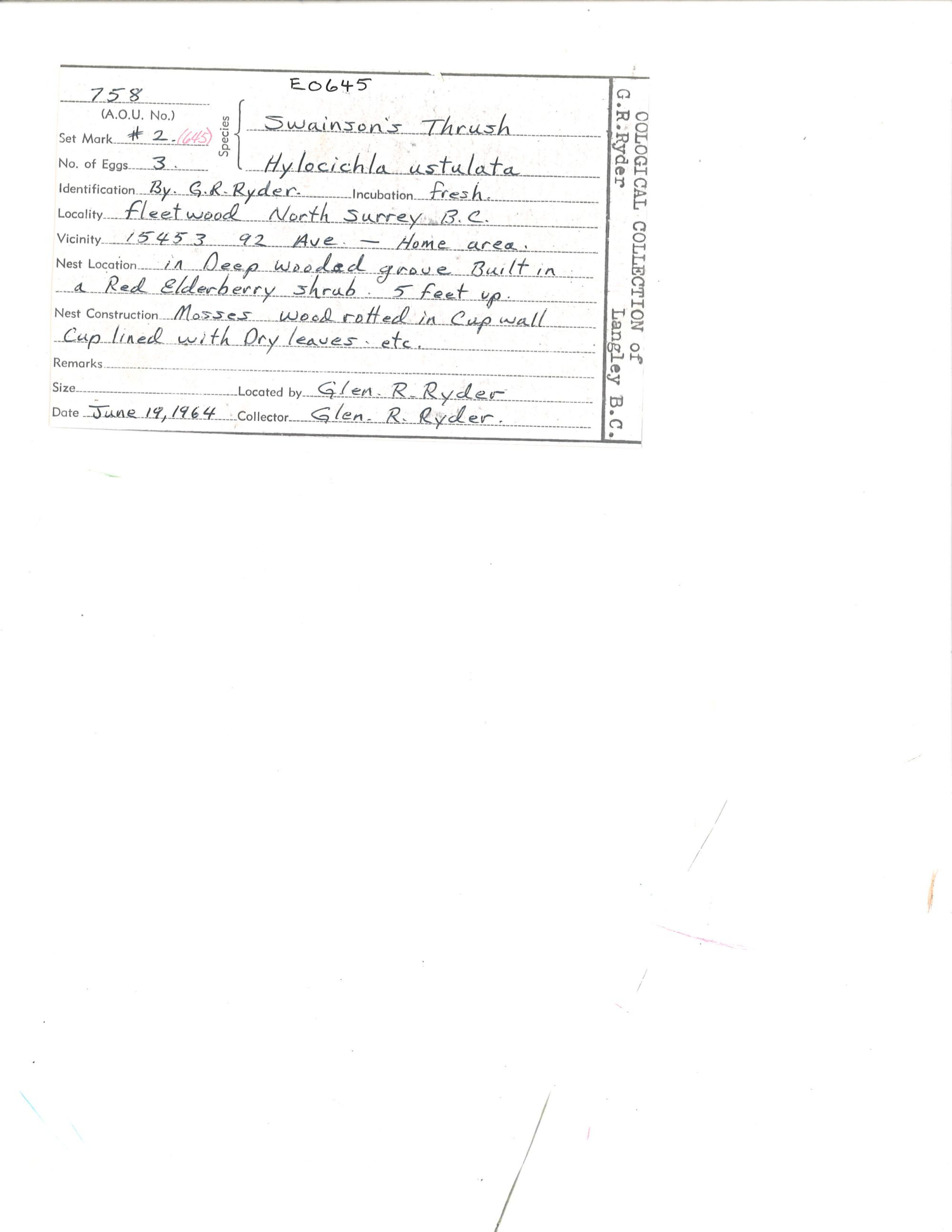 Image representing Catharus ustulatus.