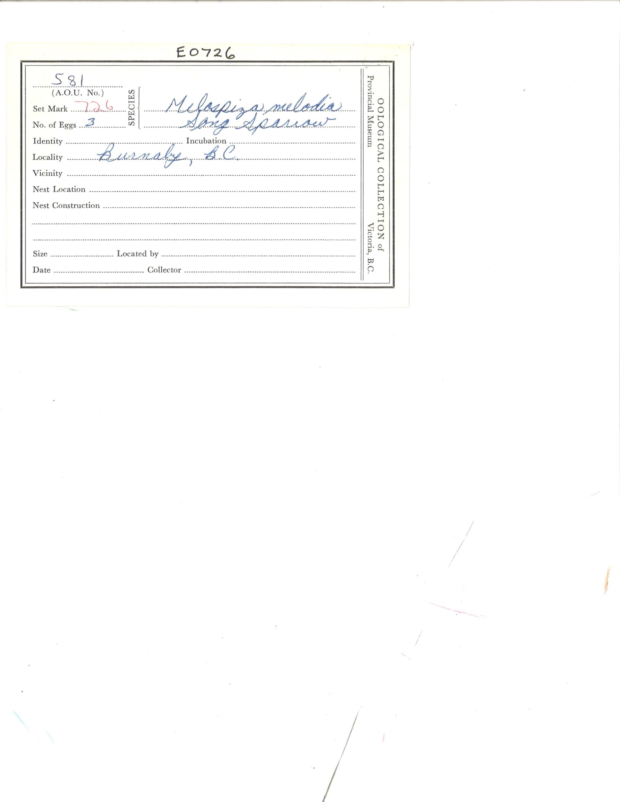 Image representing Melospiza melodia.