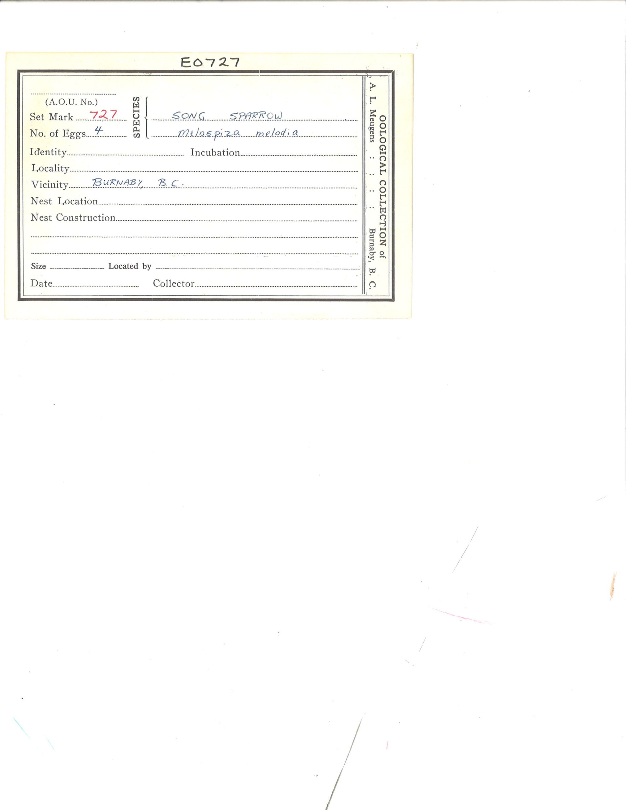 Image representing Melospiza melodia.