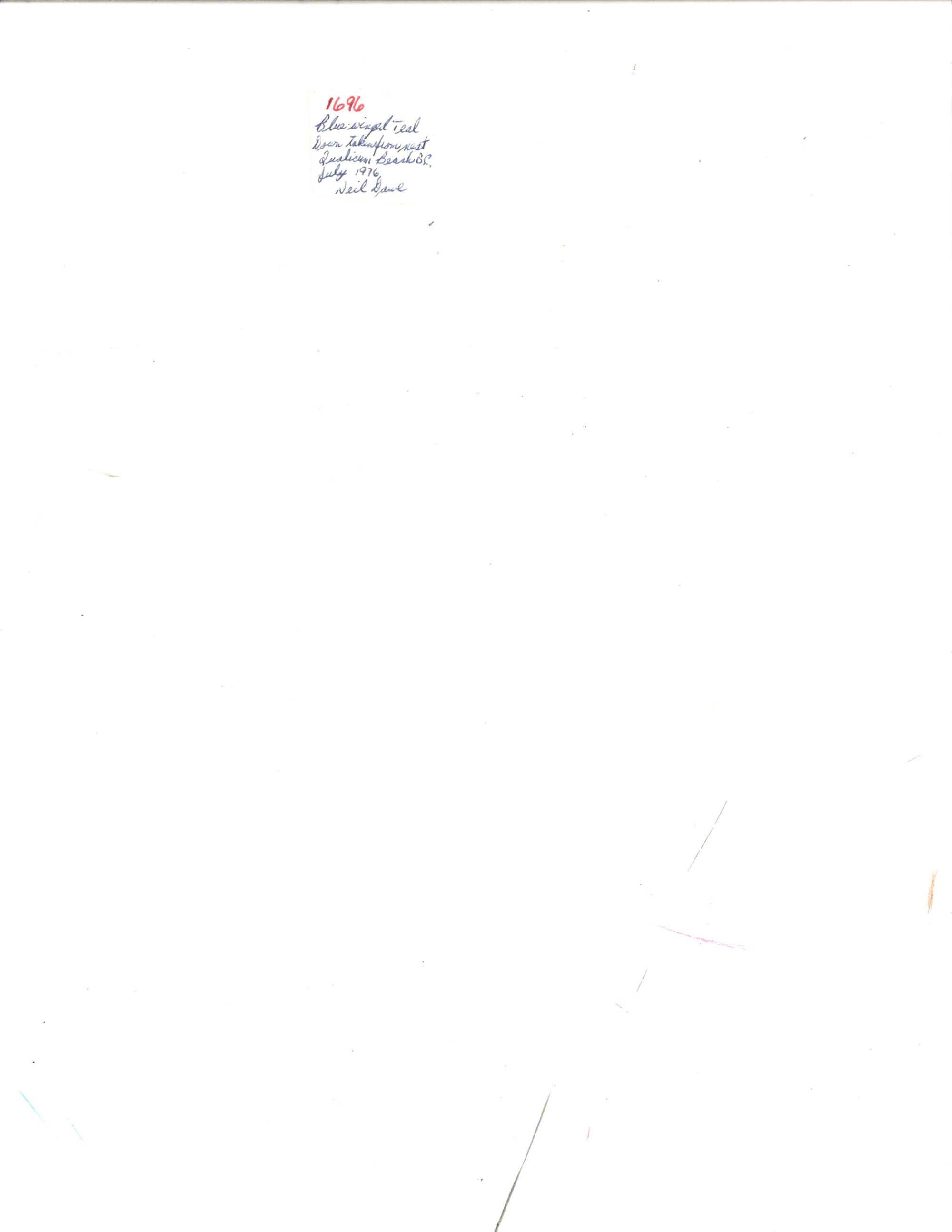 Image representing Spatula discors.