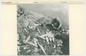 Image representing photograph.