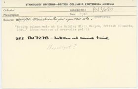 Image representing photograph.