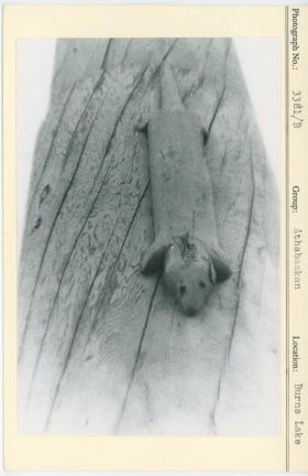 Image representing photograph.