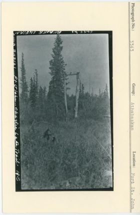 Image representing photograph.