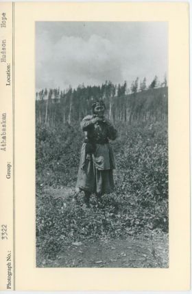 Image representing photograph.