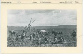 Image representing photograph.