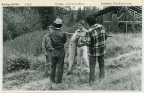 Image representing photograph.