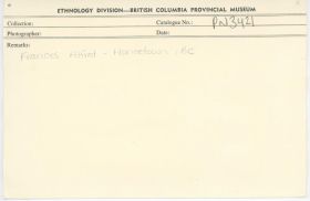 Image representing photograph.