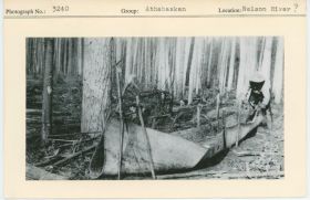 Image representing photograph.