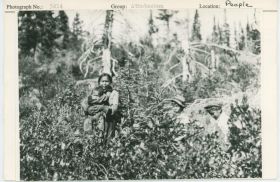 Image representing photograph.