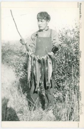 Image representing photograph.