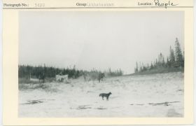 Image representing photograph.