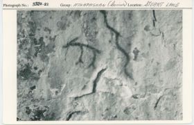 Image representing photograph.