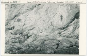 Image representing photograph.