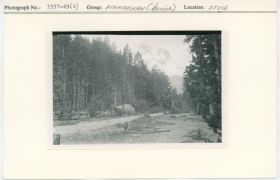 Image representing photograph.