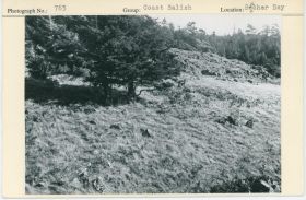 Image representing photograph.