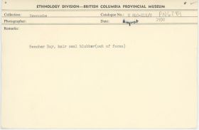 Image representing photograph.