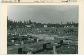 Image representing photograph.