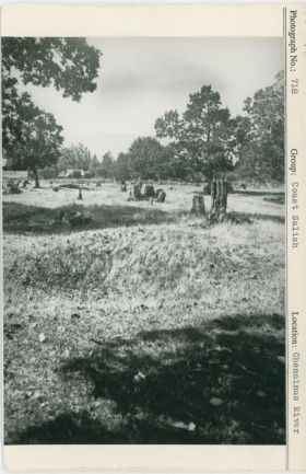 Image representing photograph.