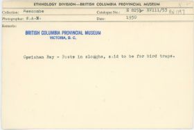 Image representing photograph.