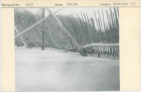 Image representing photograph.