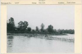 Image representing photograph.