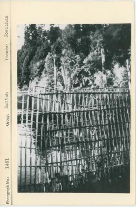 Image representing photograph.