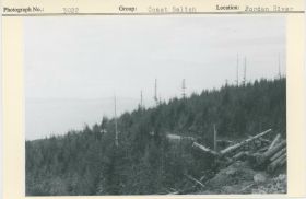 Image representing photograph.