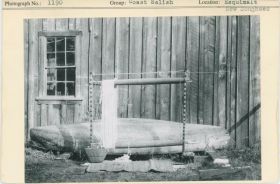 Image representing photograph.