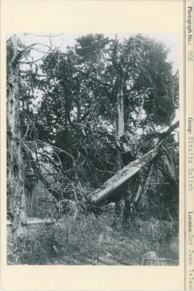 Image representing photograph.