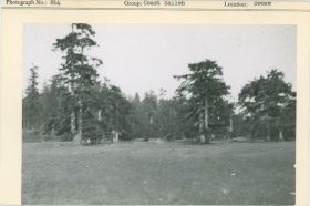 Image representing photograph.