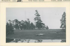 Image representing photograph.