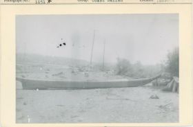 Image representing photograph.