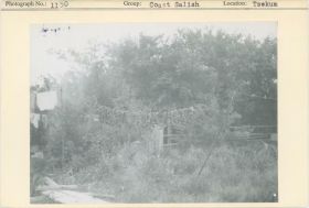 Image representing photograph.