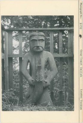 Image representing photograph.