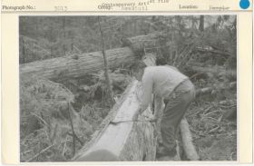 Image representing photograph.