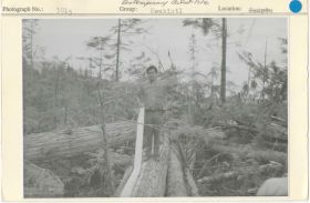 Image representing photograph.