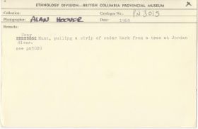 Image representing photograph.