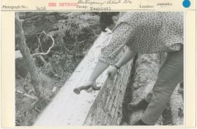 Image representing photograph.