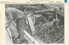 Image representing photograph.