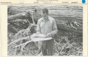 Image representing photograph.