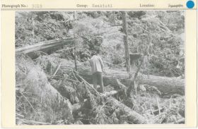 Image representing photograph.