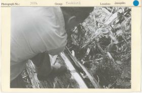 Image representing photograph.