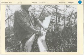 Image representing photograph.