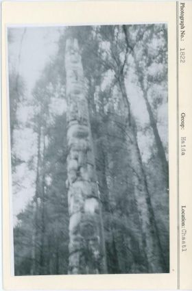 Image representing photograph.