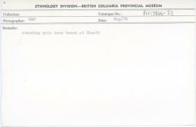 Image representing photograph.