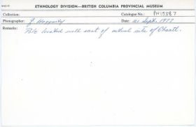 Image representing photograph.