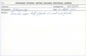 Image representing photograph.